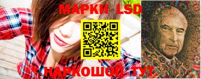 мяу мяу мука Моздок
