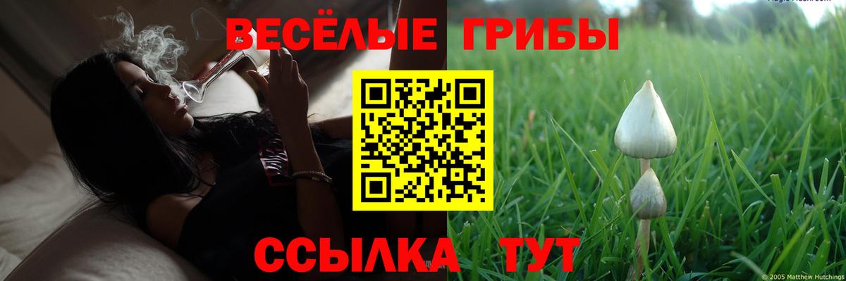 Псилоцибиновые грибы мухоморы Северобайкальск
